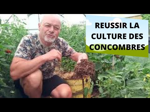 , title : 'Réussir la culture des concombres à l'ancienne  (au fumier )'