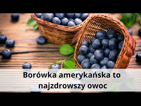 Borówka amerykańska - najzdrowszy owoc?!?! Właściwości i kalorie