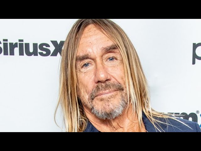 Videouttalande av Iggy pop Engelska