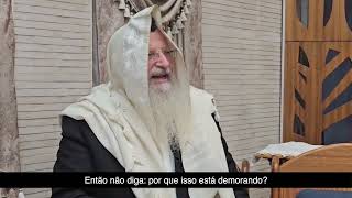 O que será no final das manifestações no Irã? | Mensagem do Rav Shmuel Eliahu em português (הרב שמואל אליהו) - התמונה מוצגת ישירות מתוך אתר האינטרנט יוטיוב. זכויות היוצרים בתמונה שייכות ליוצרה. קישור קרדיט למקור התוכן נמצא בתוך דף הסרטון O que será no final das manifestações no Irã? | Mensagem do Rav Shmuel Eliahu em português (הרב שמואל אליהו) - התמונה מוצגת ישירות מתוך אתר האינטרנט יוטיוב. זכויות היוצרים בתמונה שייכות ליוצרה. קישור קרדיט למקור התוכן נמצא בתוך דף הסרטון