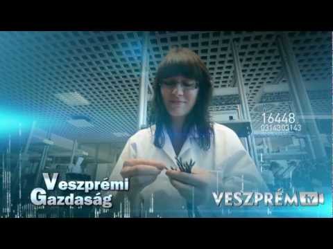 Veszprémi Gazdaság - hírek, megbízható forrásból!