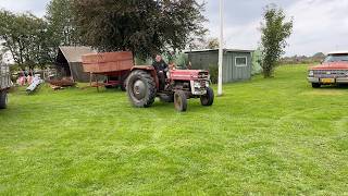 Massey Ferguson 135 Radtraktor | Bild 4 - Agroline