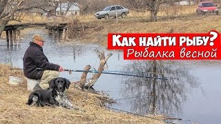 На ужин рыба удочка в коридоре