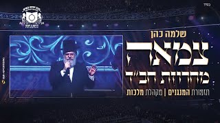 שלמה כהן - דרשו "מחרוזת חב"ד" | Shlomo Cohen - Tzamah - Avinu Malkeinu - Dirshu Siyum Hashas