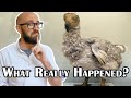 What Really Caused the Dodo to Go the Way of the Dodo? (Karl Smallwood's first TIFO article :-))
