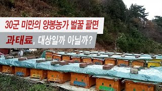 30군 미만의 양봉농가가 벌꿀을 팔면 과태료 대상일까?