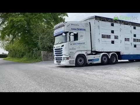 Irish Cows Exported for a UK Cutomer - Grasstec Livestock Services