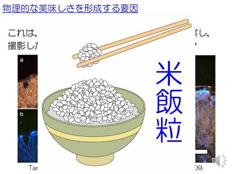 農学部農業環境工学科 模擬授業「美味しさは科学的にどのように説明されるのか」田村匡嗣