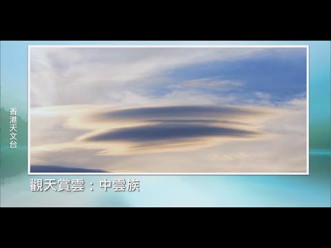 觀天賞雲 : 中雲族 (2020年6月24日)
