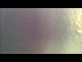 Odkrywcy Rants S2 E7 Franny S Feet