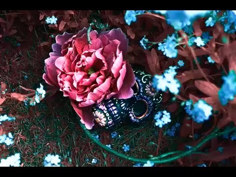 Dre Pao - WithoutChya (Feat. Illvibe) [Official Video]