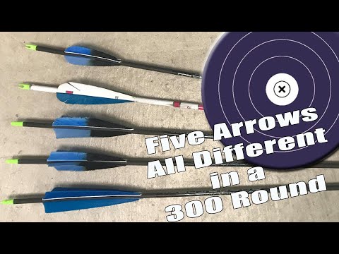 Dynamischer Wirbelsäulentest mit 5 Pfeilen – Alle unterschiedlich eingestellt