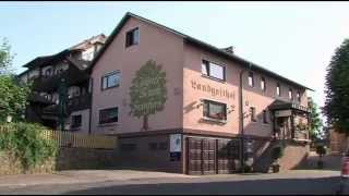 preview picture of video 'Grüner Baum Steinfurt'