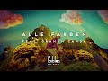 Alle Farben - She Moves feat. Graham Candy ...