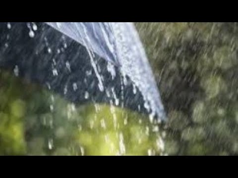 Shabbat and Shemini Atzeret Liturgy // Tefilat Geshem // Prayer for Rain //8th Day (5784)