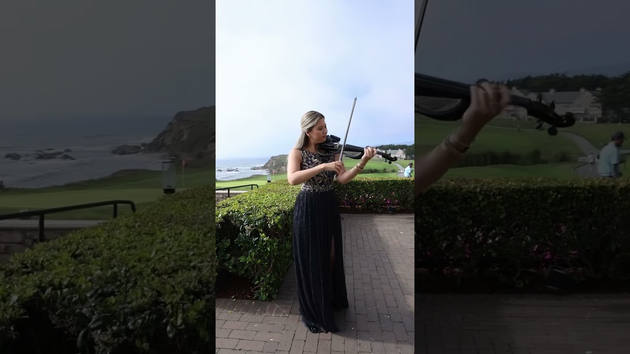 Promotional video thumbnail 3 for Electric violinist