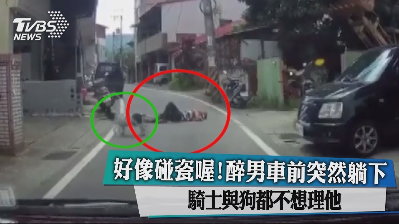 好像碰瓷喔!醉男車前突然躺下 騎士與狗都不想理他