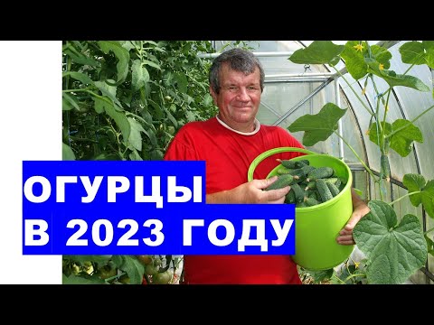 , title : 'Как вырастить большой урожай огурцов в 2023 году'