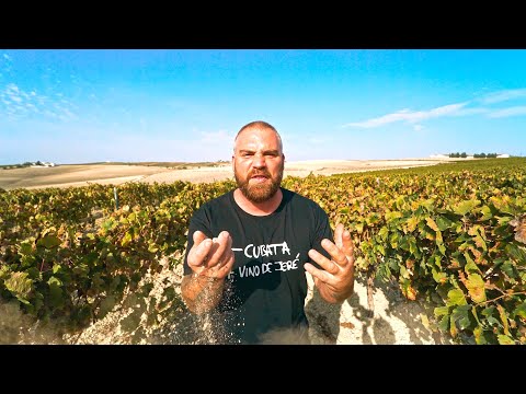 Cosa.V con @abocajarrojerez  - ASTA REGIA (Prod. Rayka) Videoclip 4K