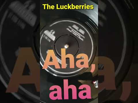 The Luckberries - Aha,aha