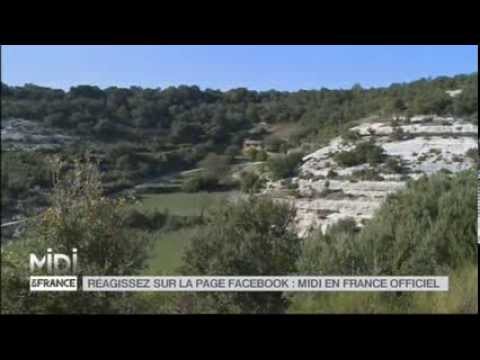 Video vignette
