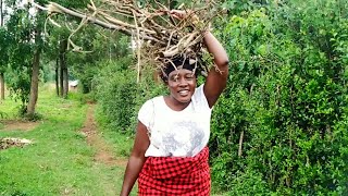 Rural Lifestyle | African Village Women Routine Collecting Firewood In A Thicket