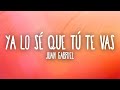 Juan Gabriel - Ya Lo Sé Que Tú Te Vas (Letra/Lyrics)