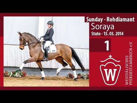 01 Soraya Stute v. Sunday - Rohdiamant