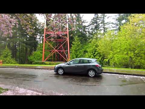 Council Crest Park - Portland, Oregon 4k HD #portland #ambient #rainsounds