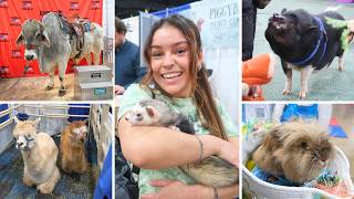 PET EXPO 2026 || Exotic Animals, Petting Zoo, Farms, Dog Shows, Reptiles (I held a 60 lbs snake!)