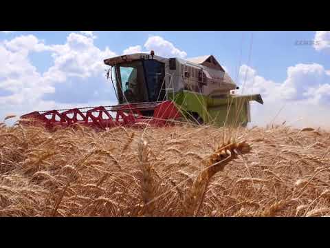 CLAAS Testimoniale fermieri 2017 - Combinatul Agroindustrial Curtici - jud.Arad