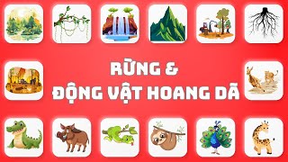 🐾🌲 Explore the Forest & Learn Wild Animal Names in English | Oh Vui Kids 🐘📖