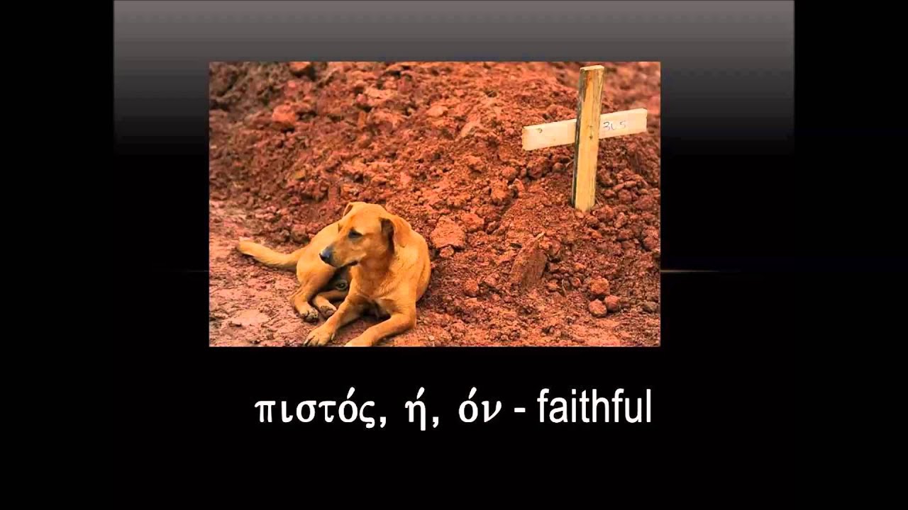 Chapter 9 - Vocabulary