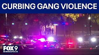 Minnesota adopting New Jersey model to curb gang violence