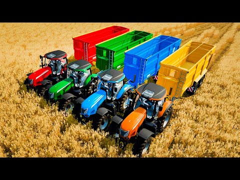 Harvesting And Load Wheat with McCormick X8