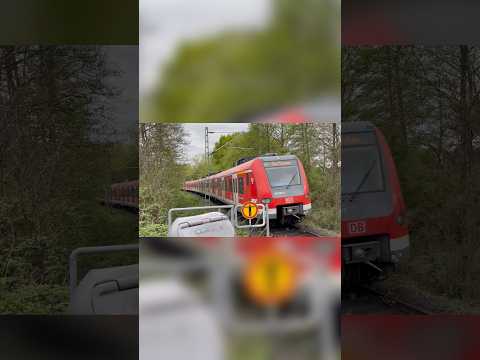 S3 in Dreifachtraktion nach Bad Soden