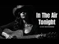 In The Air Tonight Phil Collins Acoustic Blues Harmonica Version