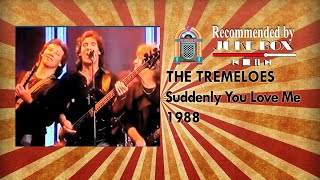 The Tremeloes - Suddenly You Love Me 1988