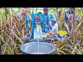 SUGARCANE JUICE Making Farm Fresh Healthy Juice In Village Natural Juice Summer Health Drinks