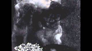 Cultus Sanguine Il Richiamo In Rosso