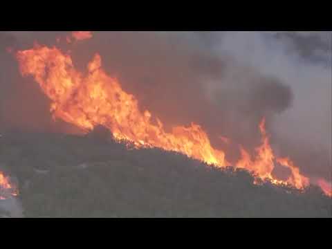 A wind-driven brush fire has erupted in Southern California, burning near structures in the Newbury Park area west of Los Angeles (Nov. 8)