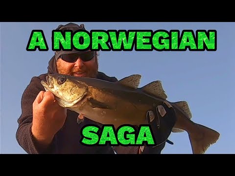 Ich fange Fische, während ich nach Norden durch Norwegen reise