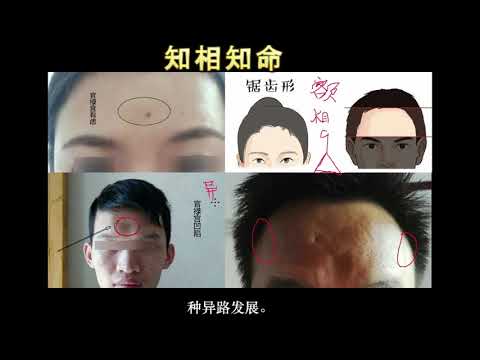 中正凹陷