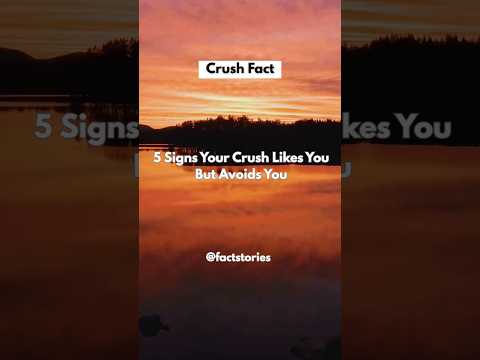 5 Signs Your Crush Likes You But Avoids You #shorts #viralvideo #lovefacts #crushfacts #usashorts