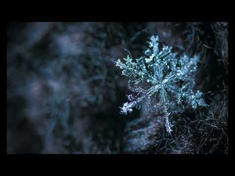 Einsigartig - Fünf Meter dickes Eis