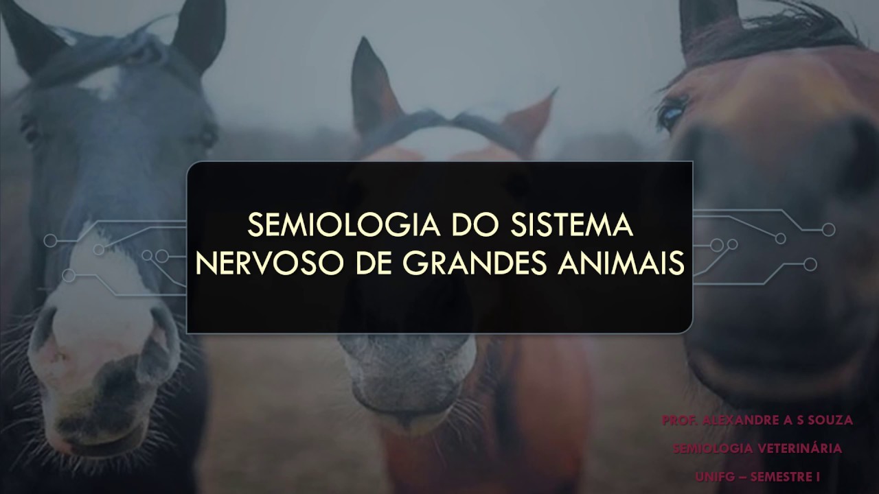 Semiologia do Sistema Nervoso de Grandes Animais