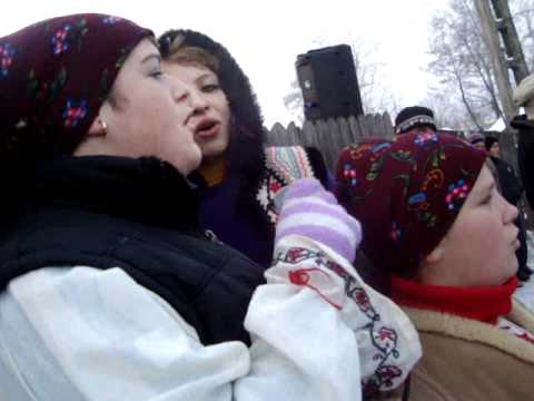 Malanca Puiesti prt.6