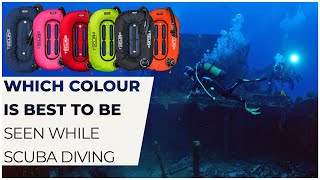 Which Colours are Best for Scuba Diving #scuba #colour