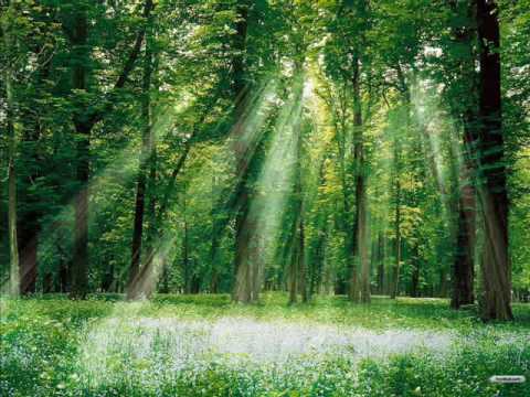 Nikdy to nevzdám ( karaoke verze D4n33k )