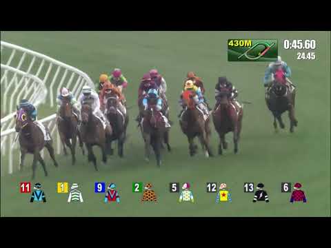 20/2/2022 (437) Voyage Bubble - Z Purton